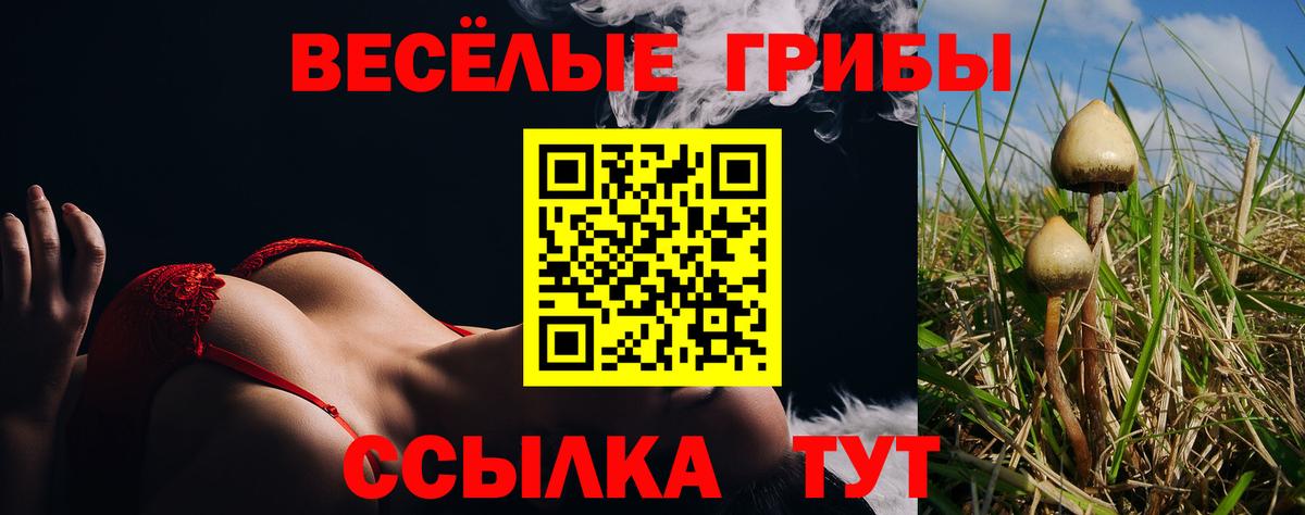 Гай  Галлюциногенные грибы GOLDEN TEACHER  Вход с VPN  Галлюциногенные грибы Psilocybine cubensis 